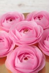 49f0b2bcbeafab70707d43e00ded6df0.jpg