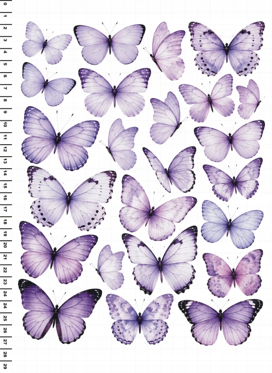 17977cb6b1e552150a84311651a3424b